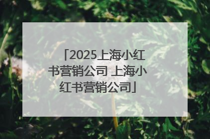 2025上海小红书营销公司 上海小红书营销公司