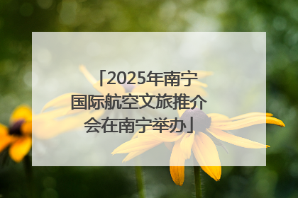 2025年南宁国际航空文旅推介会在南宁举办