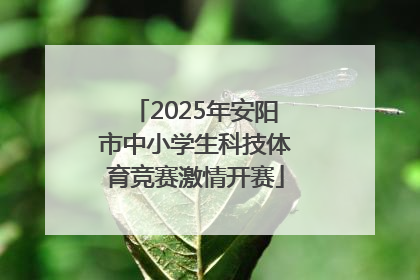 2025年安阳市中小学生科技体育竞赛激情开赛