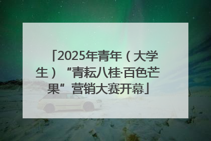 2025年青年（大学生）“青耘八桂·百色芒果”营销大赛开幕