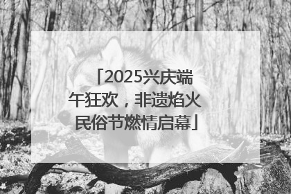2025兴庆端午狂欢，非遗焰火民俗节燃情启幕