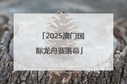2025澳门国际龙舟赛落幕