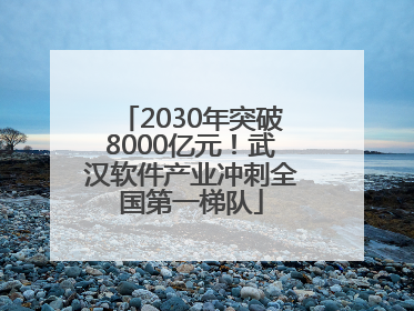 2030年突破8000亿元！武汉软件产业冲刺全国第一梯队