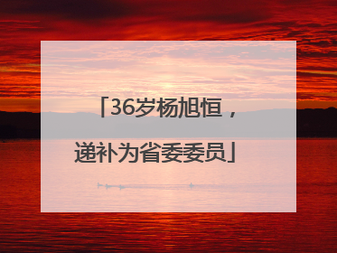 36岁杨旭恒，递补为省委委员