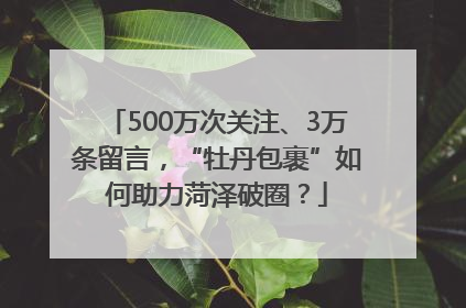 500万次关注、3万条留言，“牡丹包裹”如何助力菏泽破圈？