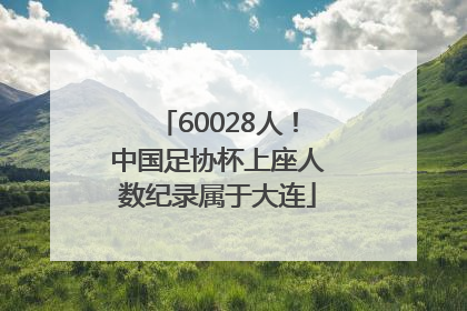 60028人！中国足协杯上座人数纪录属于大连