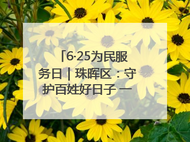 6·25为民服务日｜珠晖区：守护百姓好日子 一心为民零距离