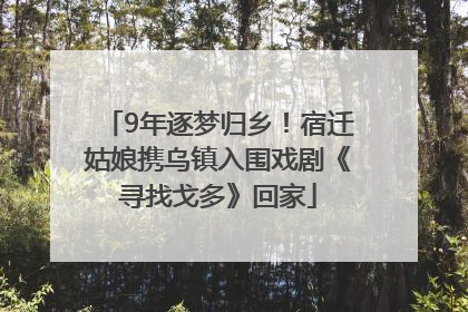 9年逐梦归乡！宿迁姑娘携乌镇入围戏剧《寻找戈多》回家