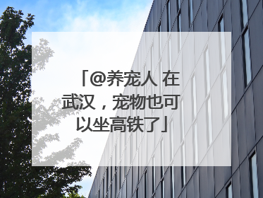@养宠人 在武汉，宠物也可以坐高铁了