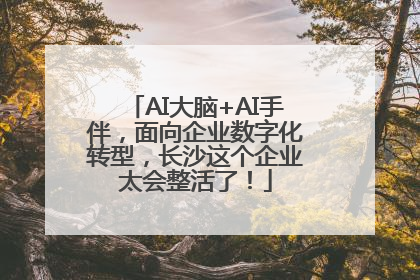 AI大脑+AI手伴，面向企业数字化转型，长沙这个企业太会整活了！