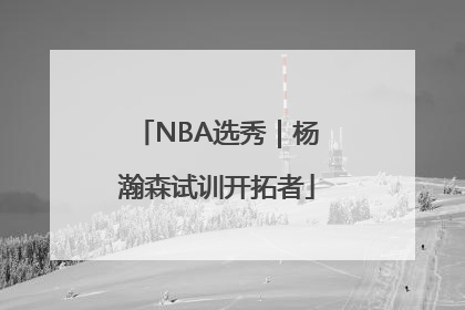 NBA选秀｜杨瀚森试训开拓者